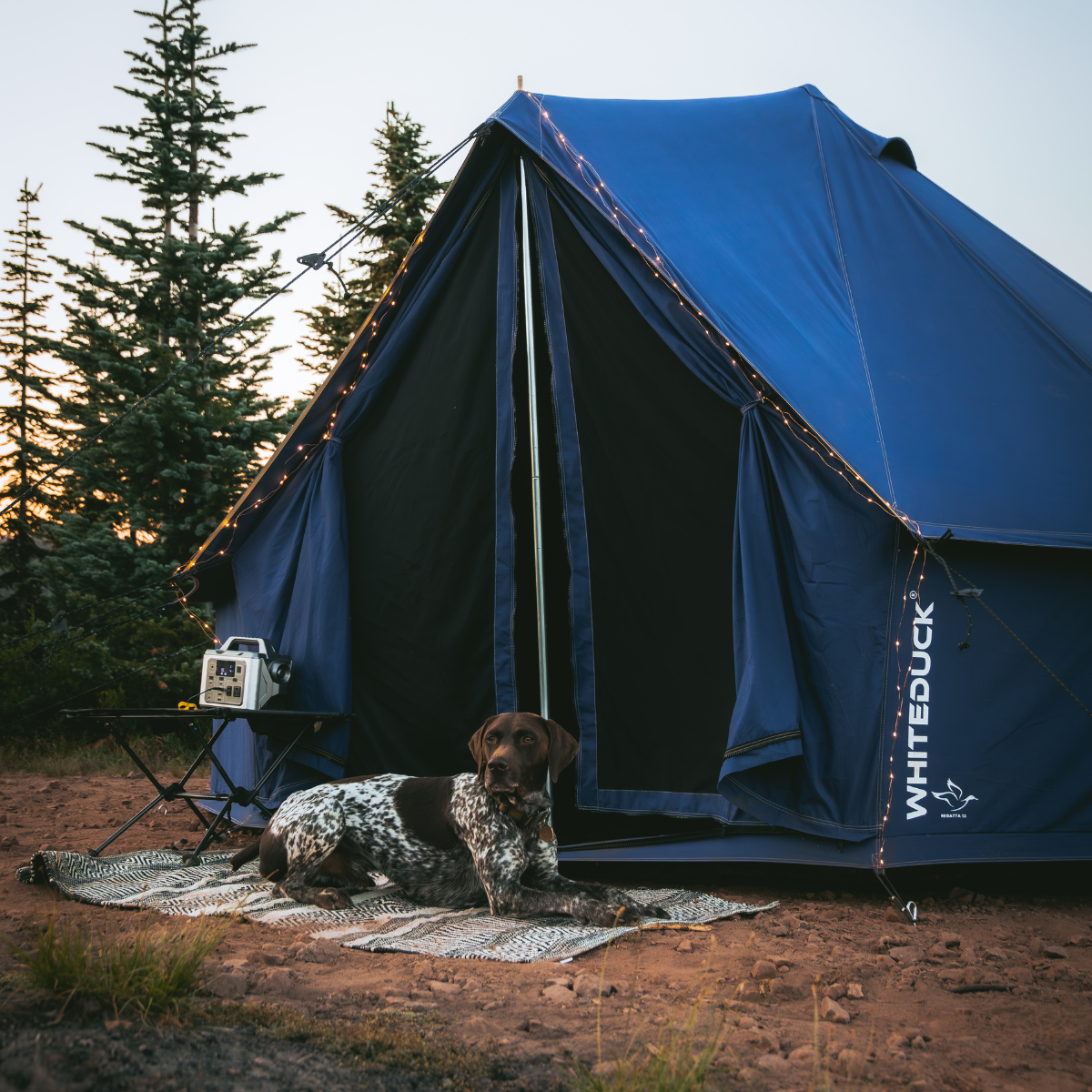 13' Regatta Bell Tent | Backcountry Sportsman