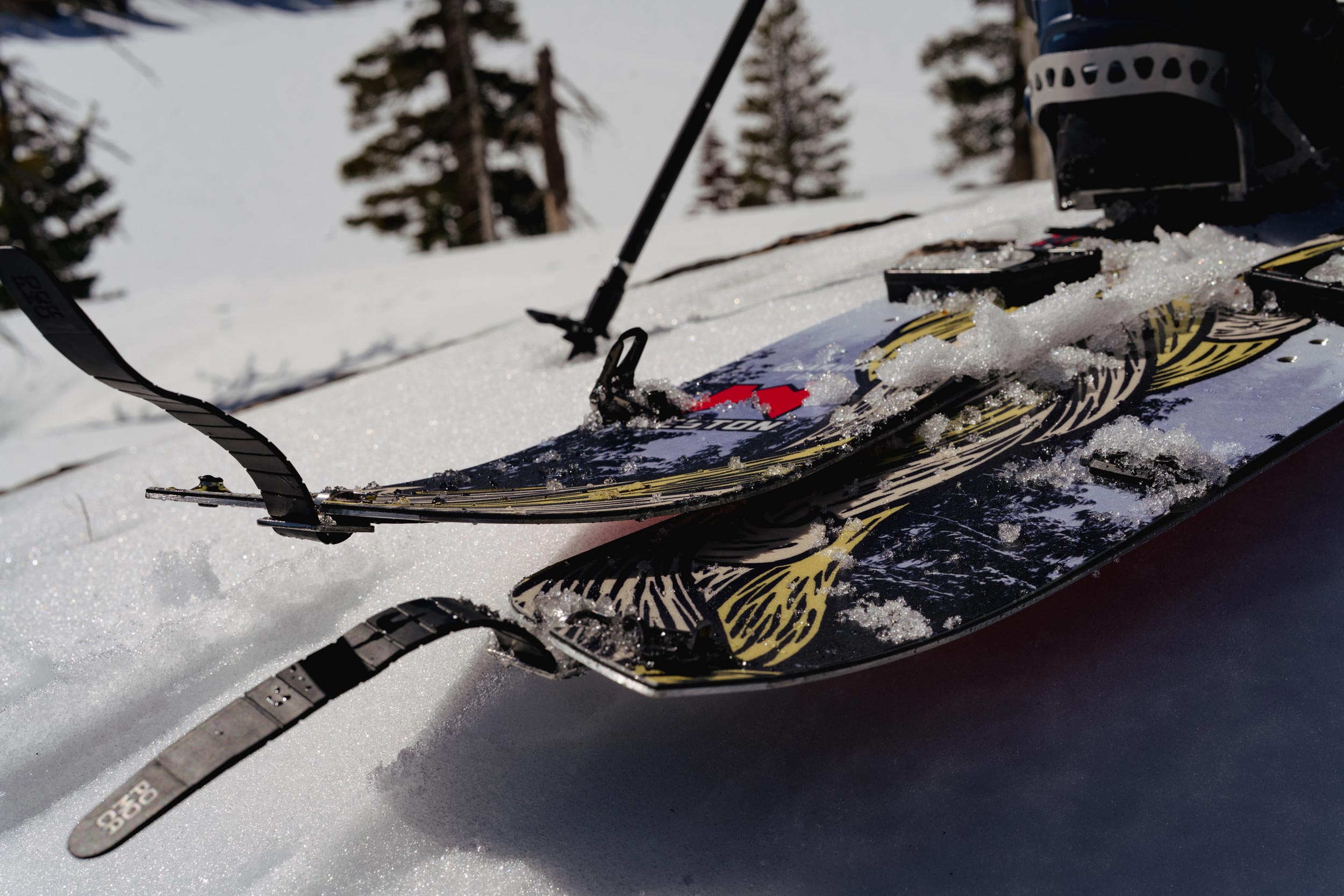 Gnarnia Splitboard | Backcountry Sportsman
