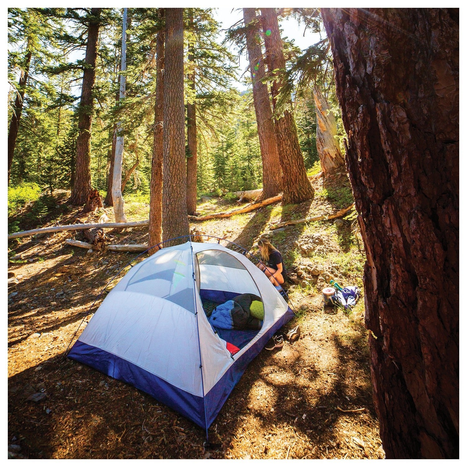 Lyn X 2 | Backcountry Sportsman