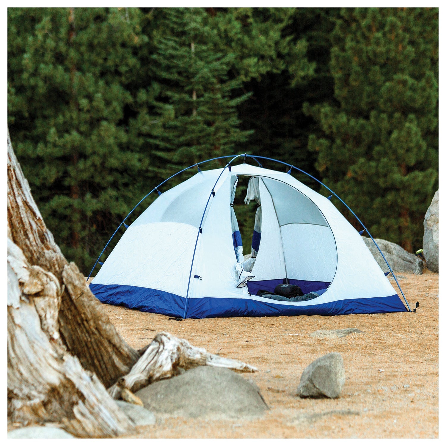 Lyn X 2 | Backcountry Sportsman