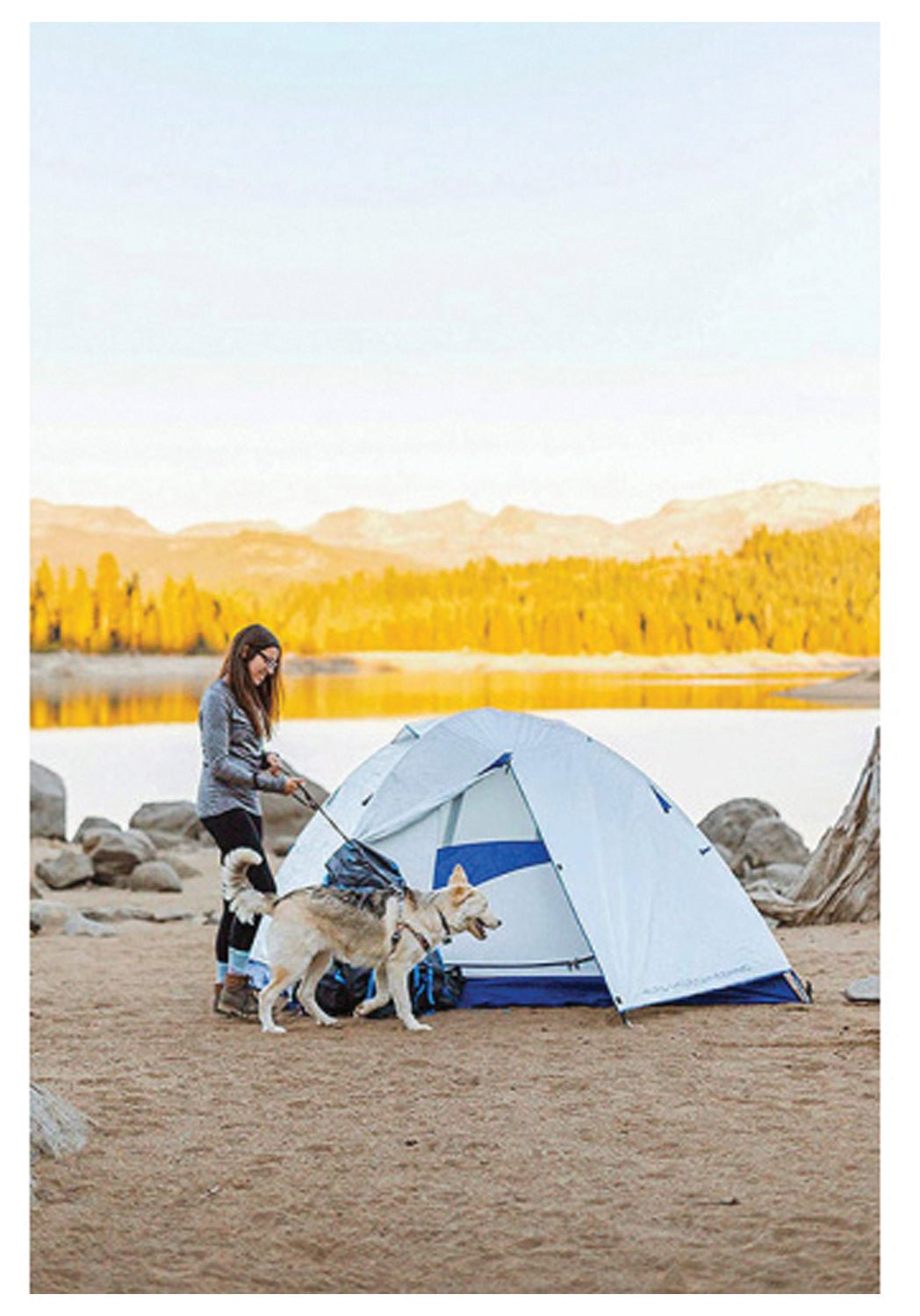 Lyn X 3 | Backcountry Sportsman