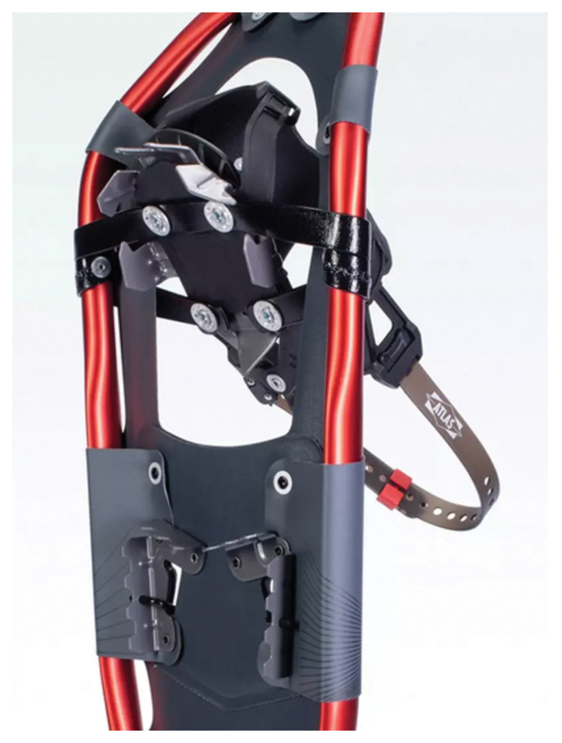 Atlas Treeline 30 Snowshoe | Backcountry Sportsman