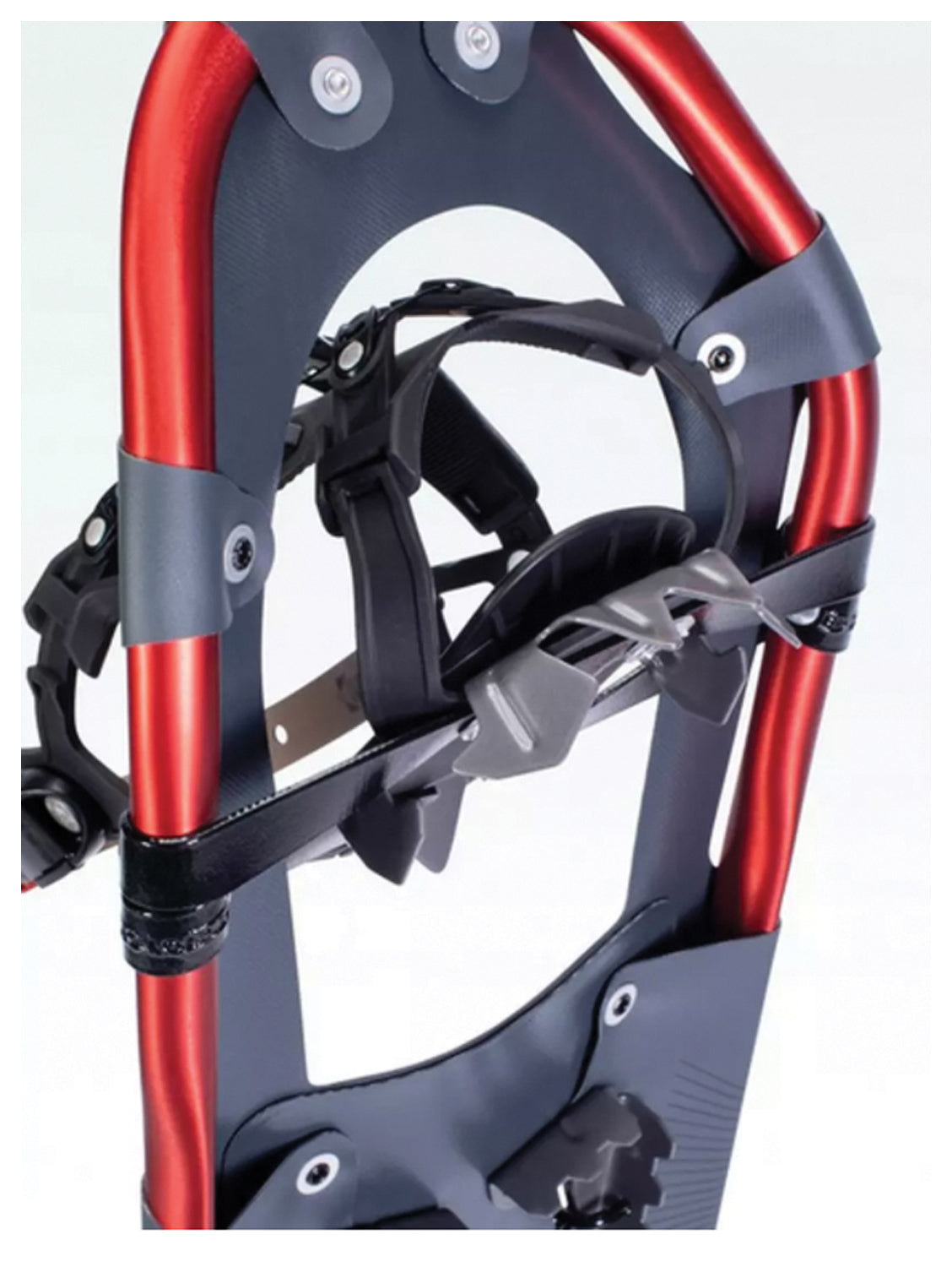 Atlas Treeline 30 Snowshoe | Backcountry Sportsman