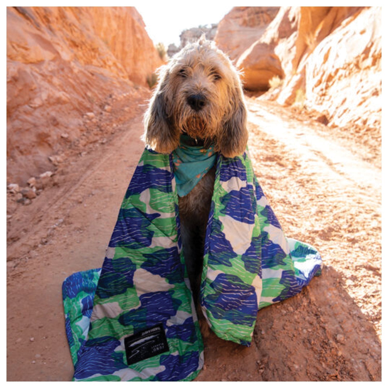 Juno Blanket Sgl Deep Pacific | Backcountry Sportsman