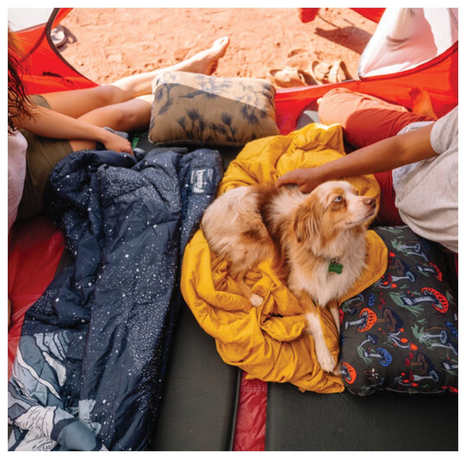 Stellar Blanket Sgl Wheat | Backcountry Sportsman