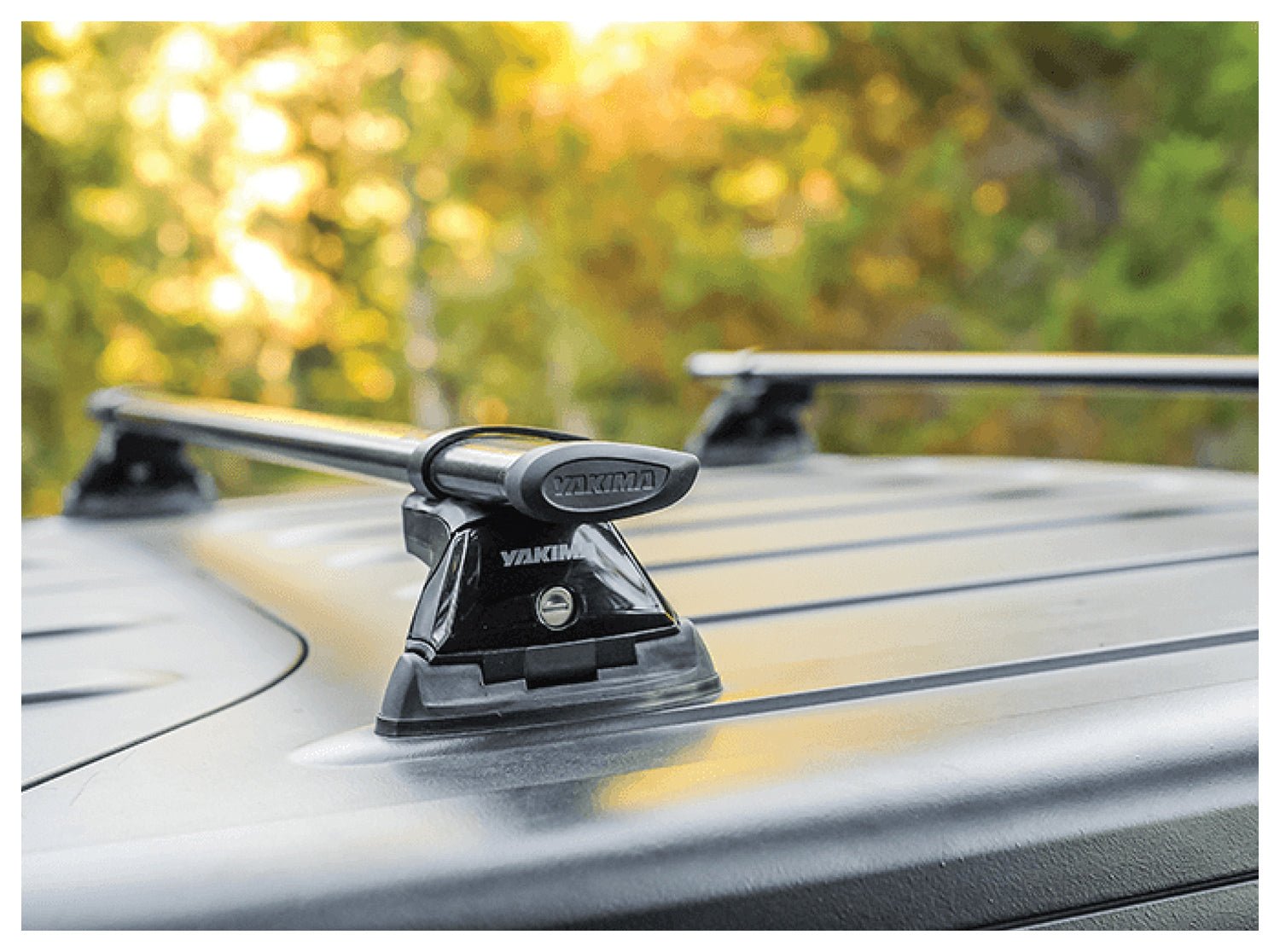 Skyline F X Size Md | Backcountry Sportsman