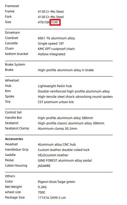 EIRA Trendy Urban Commuting Retro Steel Frame Bicycle Single-speed | Backcountry Sportsman