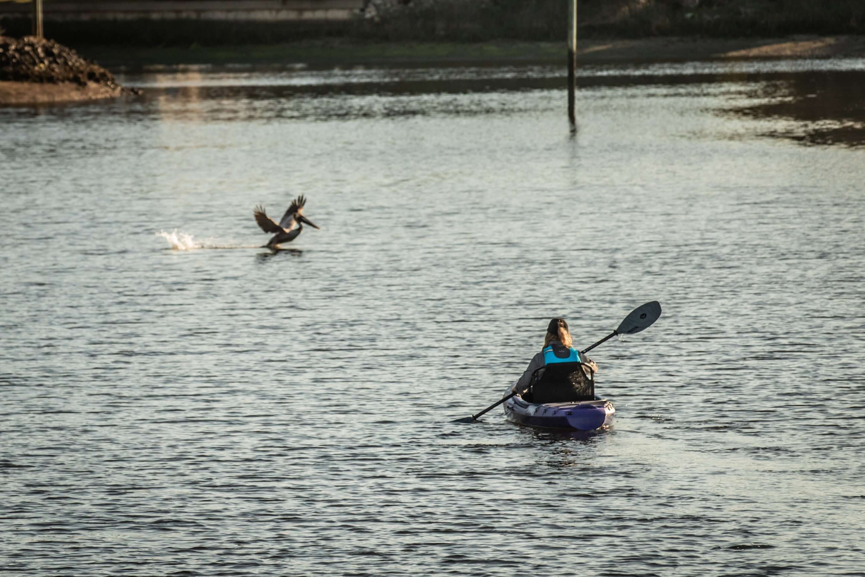 Shaka 100 | Backcountry Sportsman