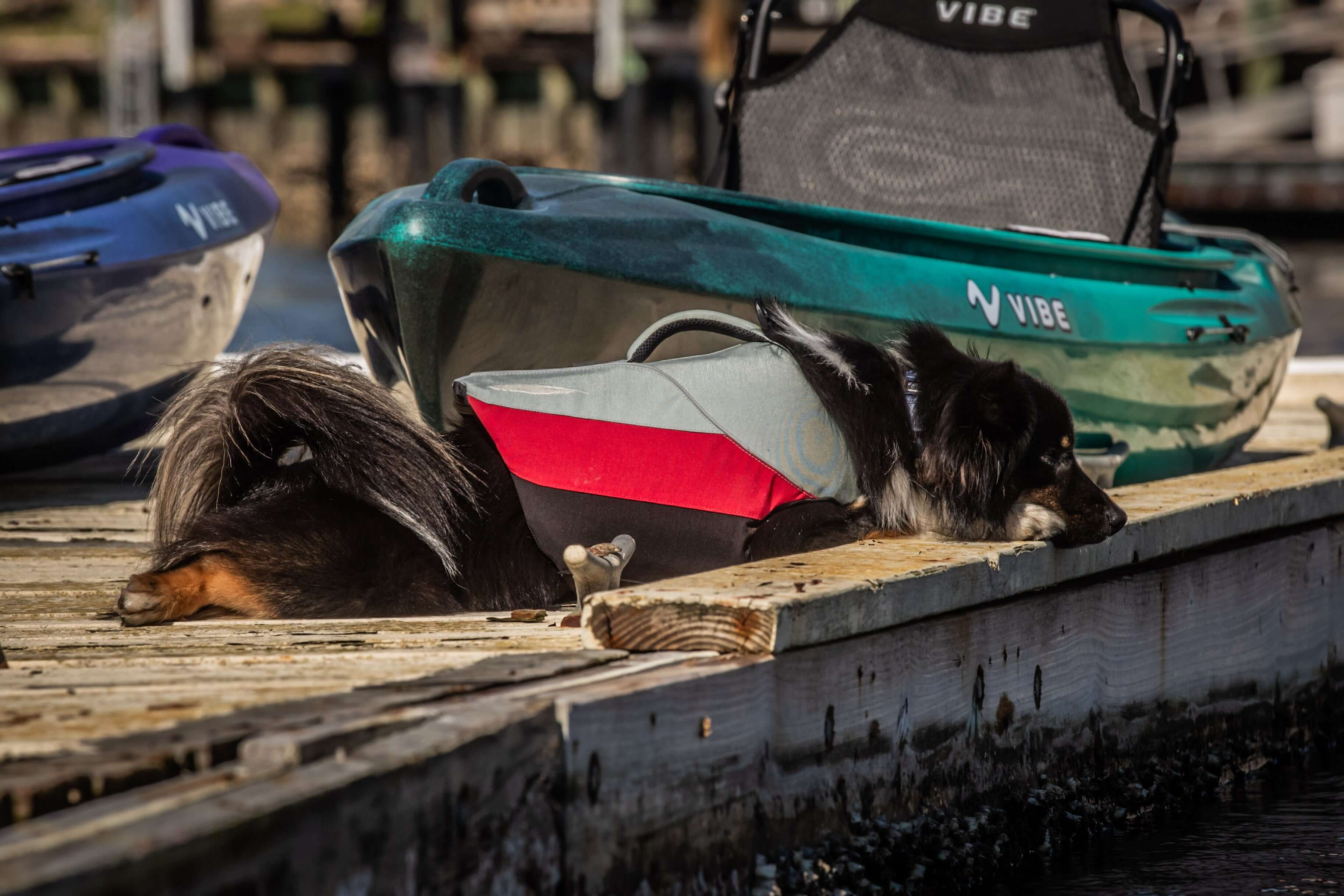 Shaka 100 | Backcountry Sportsman