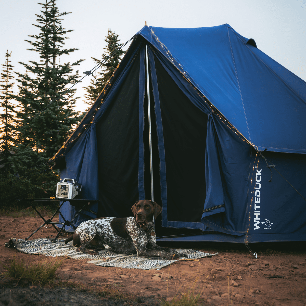 16' Regatta Bell Tent - Sapphire Blue | Backcountry Sportsman