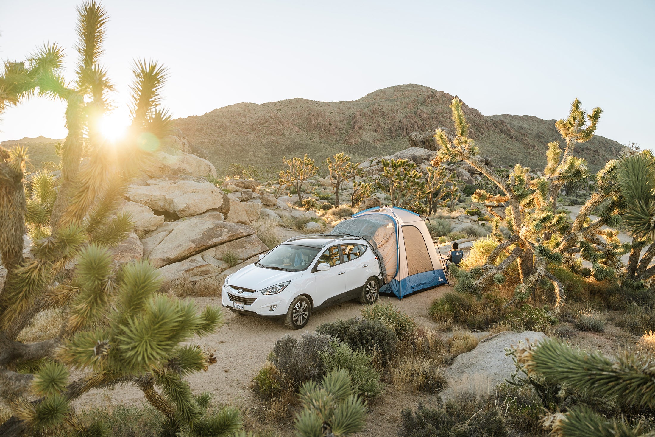 SUV Tents