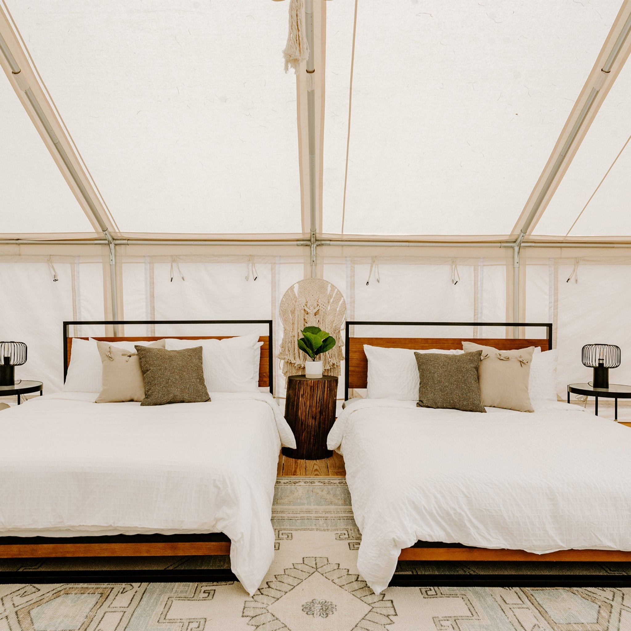 16'x20' Alpha Pro Wall Tent | Backcountry Sportsman