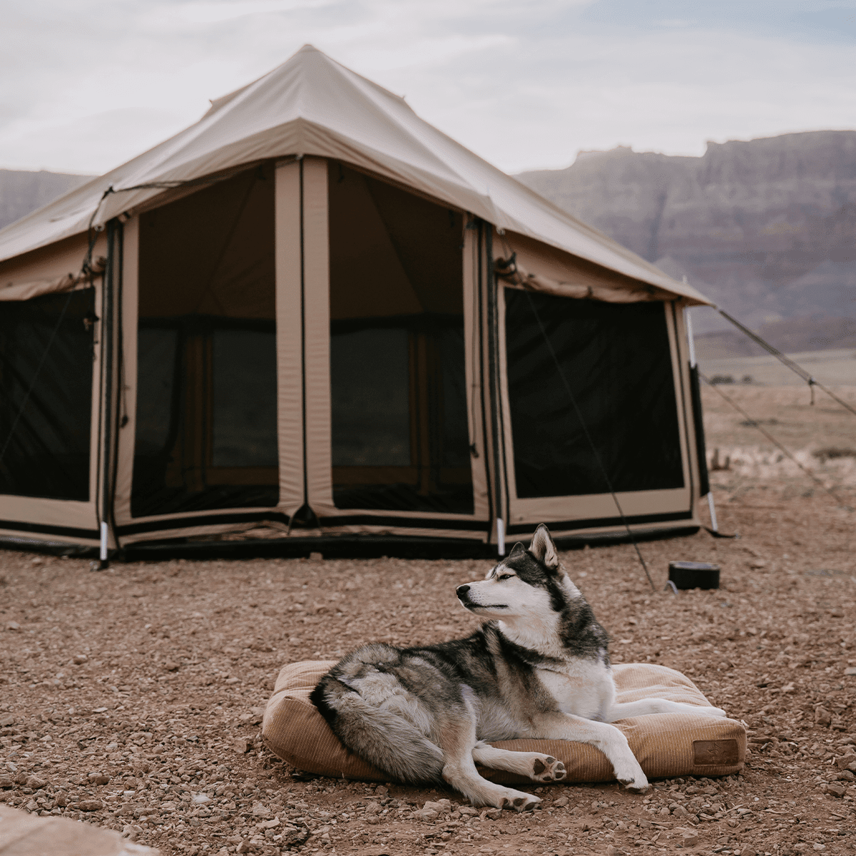 Altimus Bell Tent | Backcountry Sportsman