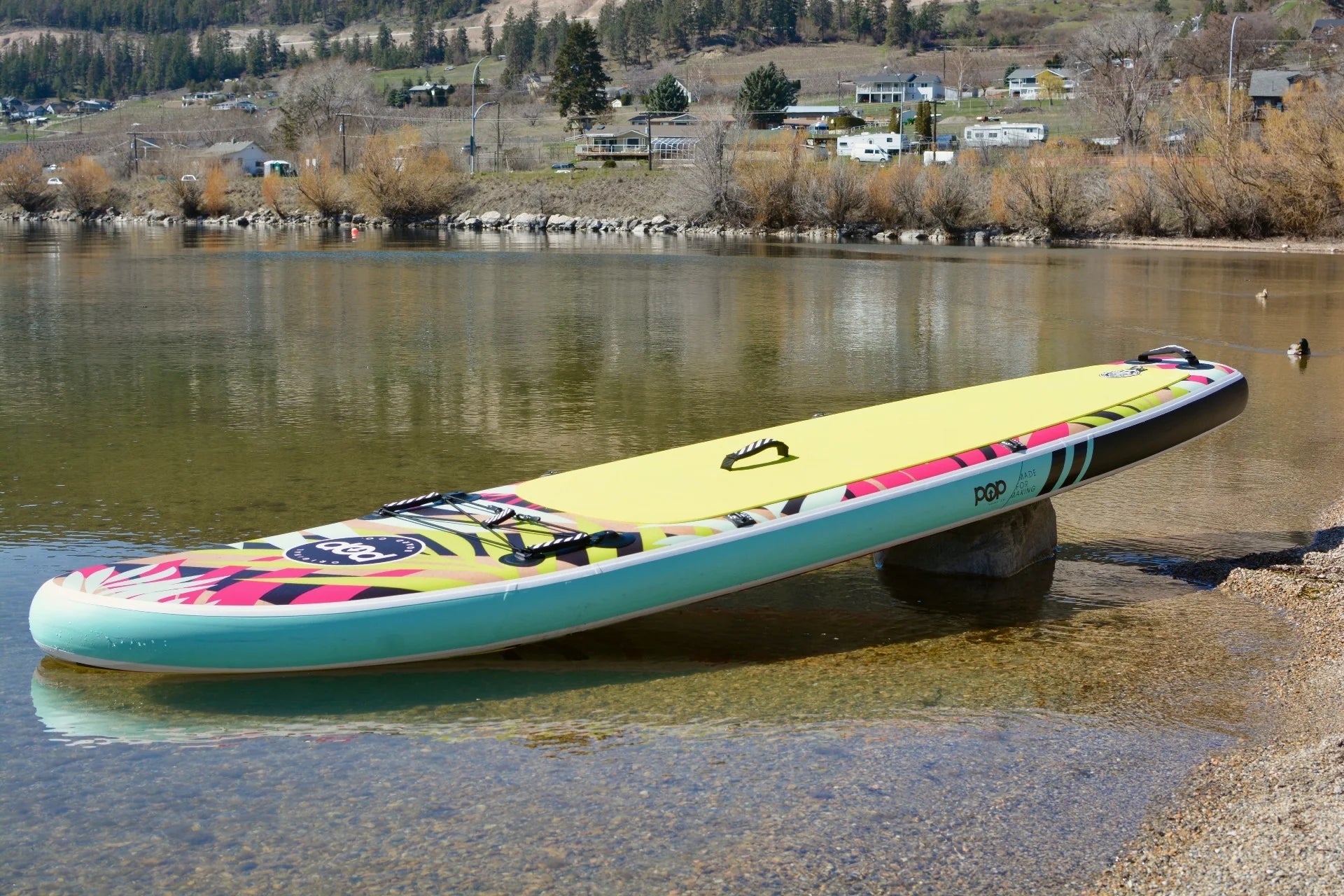 10'6 Royal Hawaiian Palm | Backcountry Sportsman