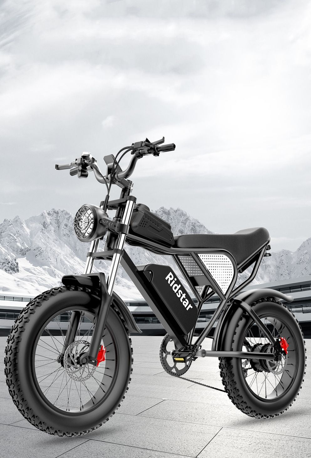 Off-road Electric Bike 1000W 20ah Black | Backcountry Sportsman