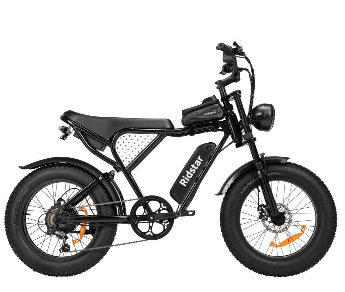 Off-road Electric Bike 1000W 20ah Black | Backcountry Sportsman