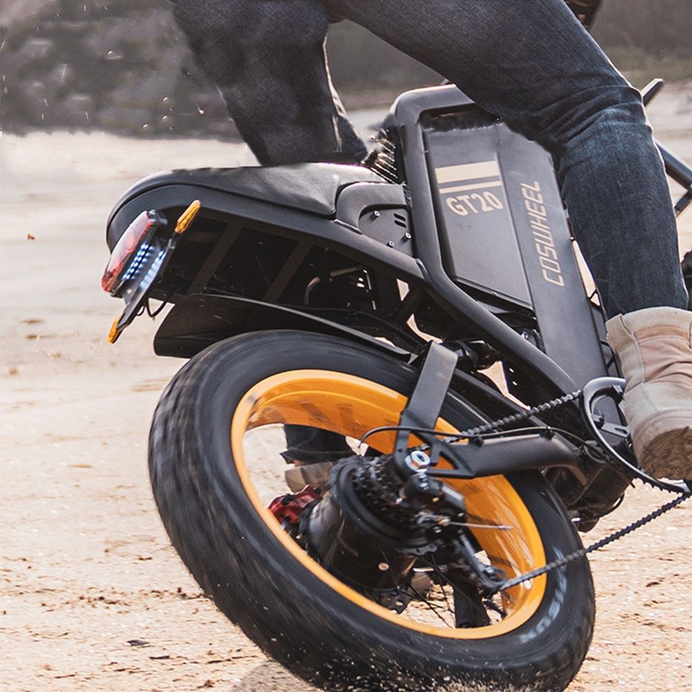 Off-road e-bike Equipped with super motor 1000W 48V25AH lithium battery 20"*4.0 fat tires Specially suitable for touring, sand, snow, mountains and other adventurous places. | Backcountry Sportsman