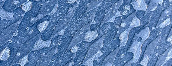 12'0 Americana | Backcountry Sportsman