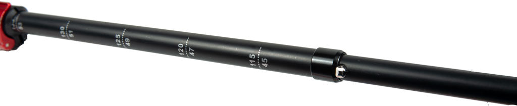 Tiger Paw Z Trekking Poles (Z-135) | Backcountry Sportsman