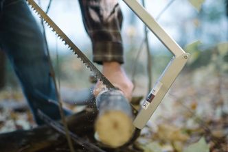 Folding Packable Camp Saw - 21"