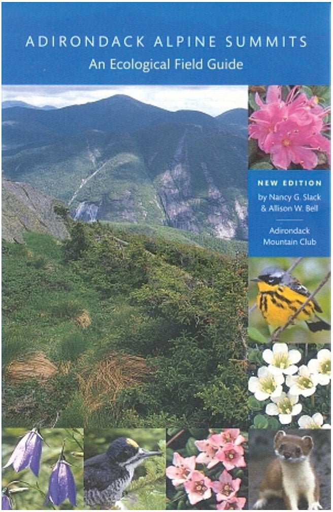 Adk Alpine Summits | Backcountry Sportsman