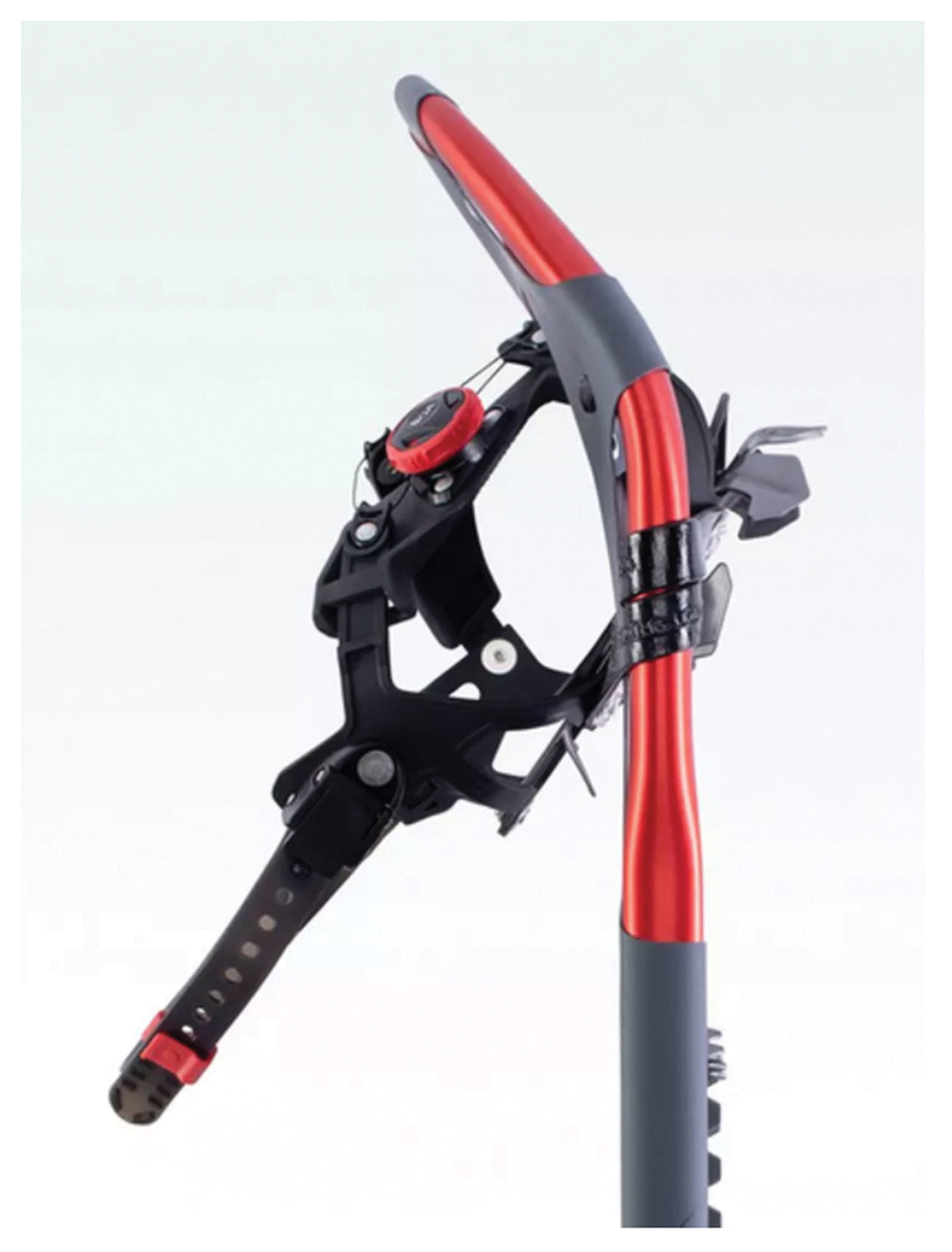 Atlas Treeline 30 Snowshoe | Backcountry Sportsman