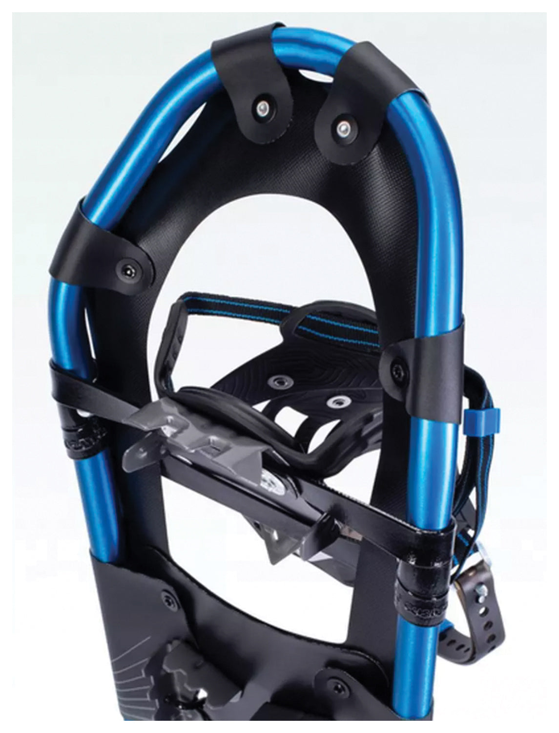 Access Women's 23 Cyan | Backcountry Sportsman