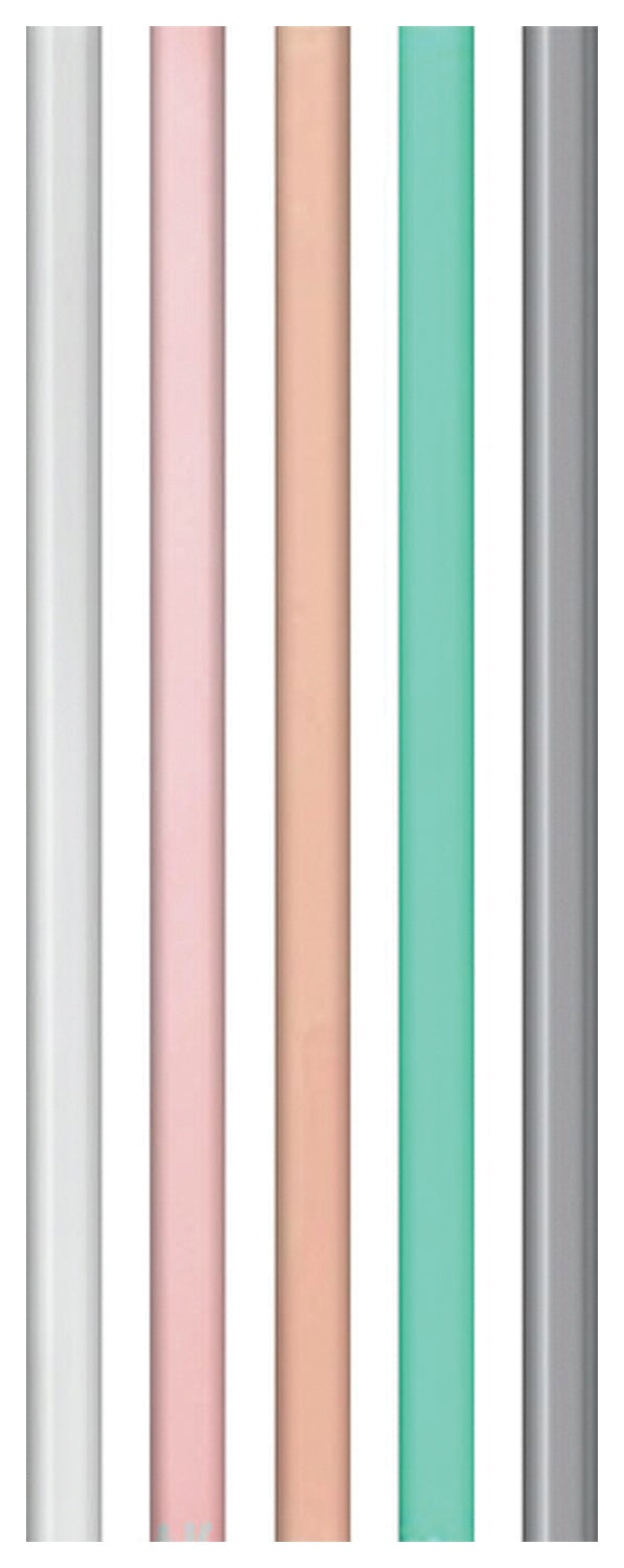 Reusable Straw 5 Pack