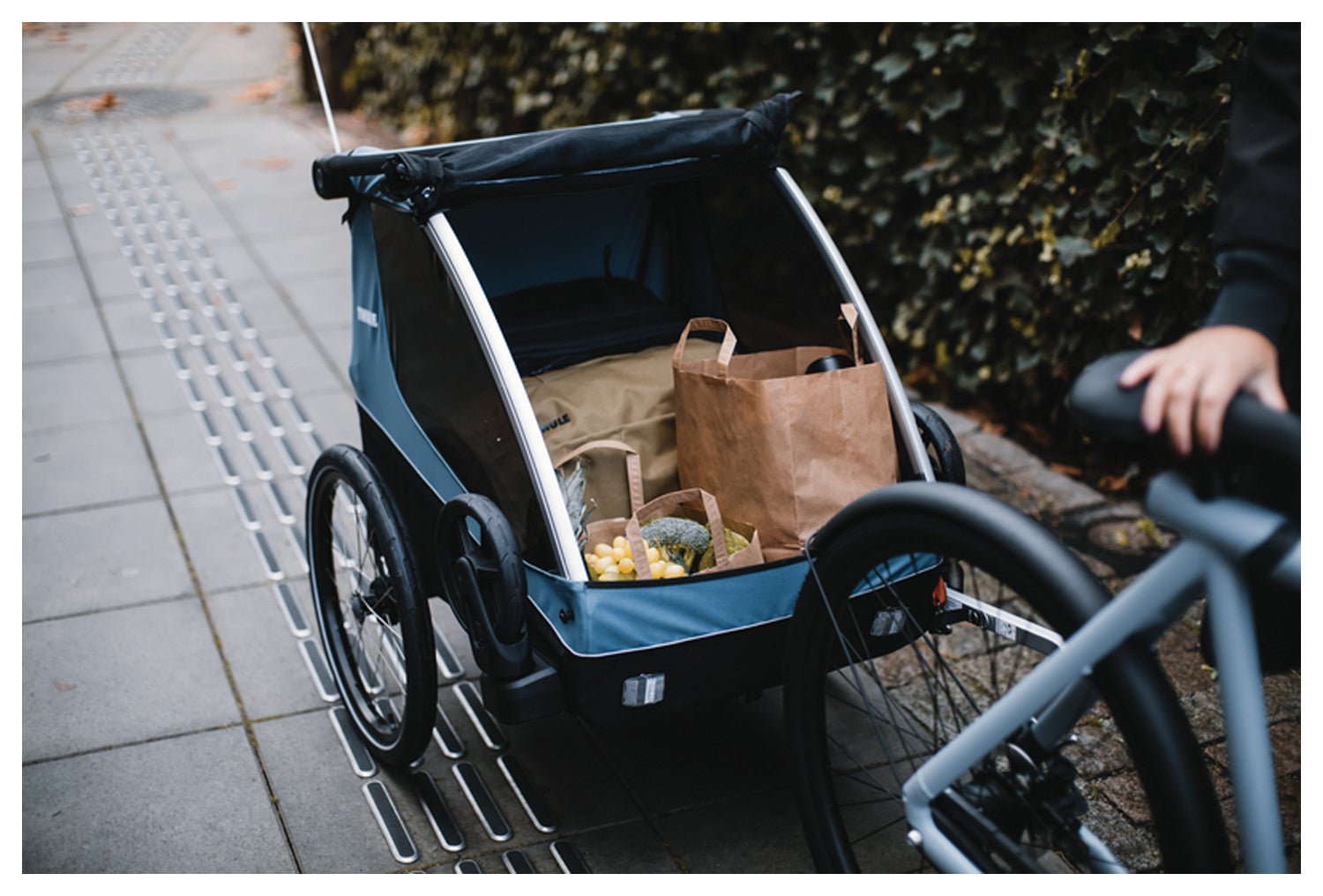 Courier | Backcountry Sportsman