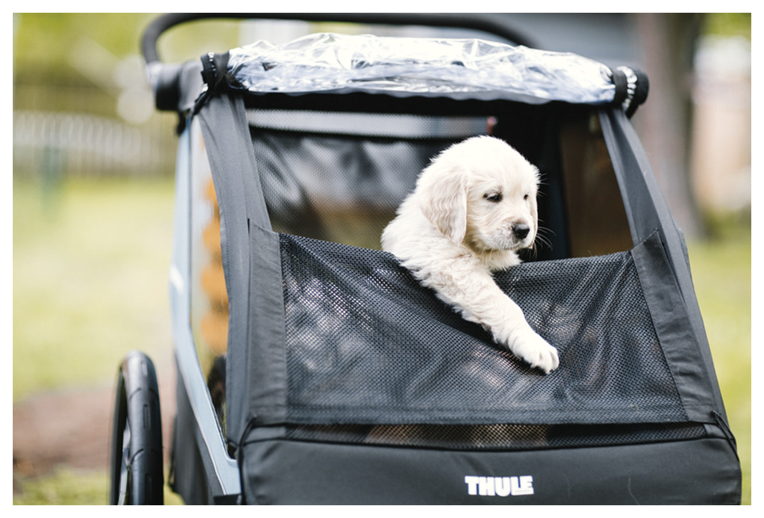 Courier Pet Kit | Backcountry Sportsman