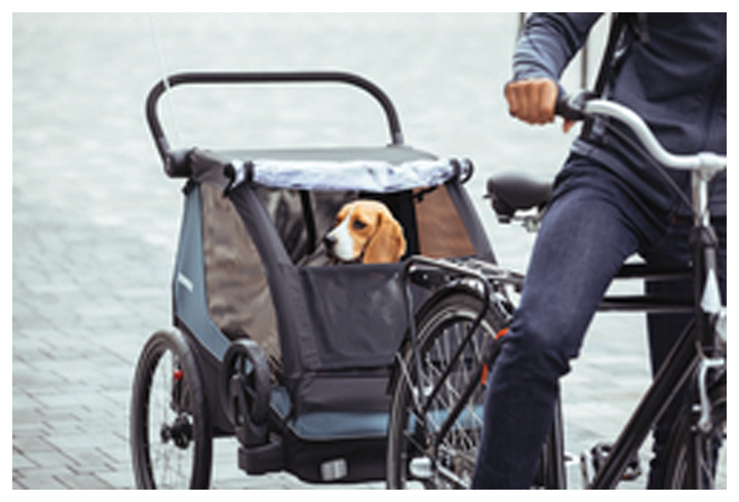 Courier Pet Kit | Backcountry Sportsman