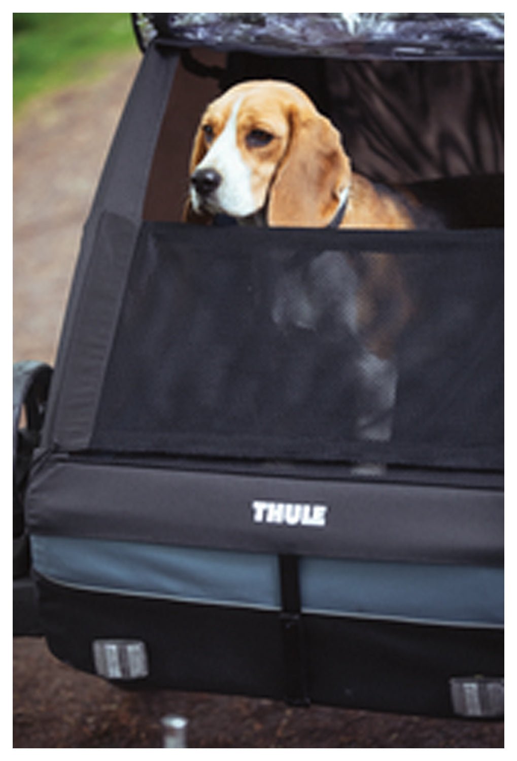Courier Pet Kit | Backcountry Sportsman
