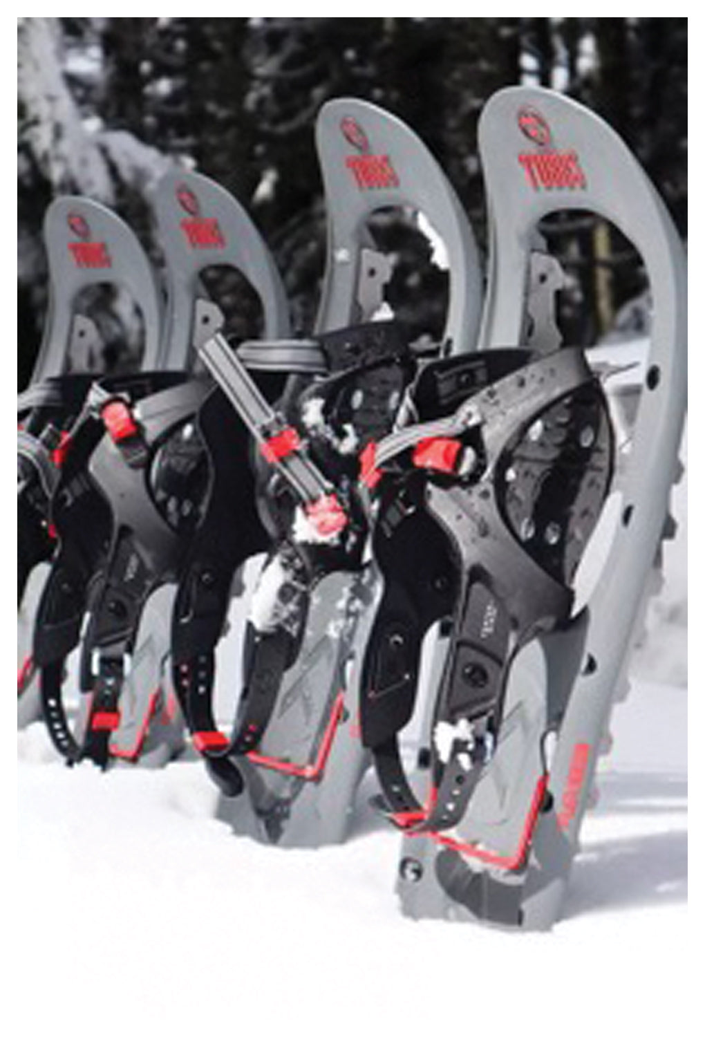 Fle X Trk 24 Snowshoe
