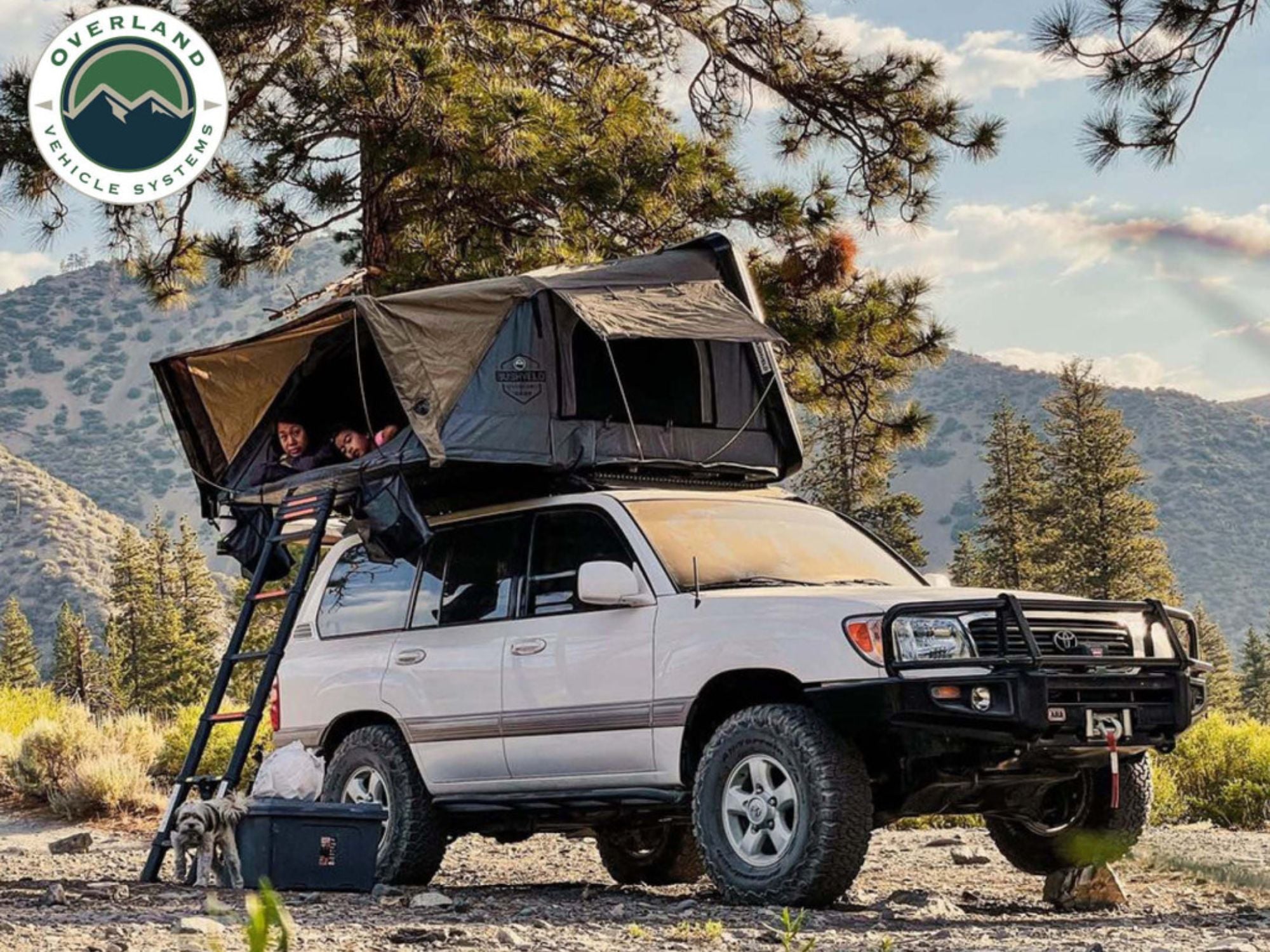 Overland Vehicle Systems Bushveld Roof Top Tent - 4 Person | Backcountry Sportsman