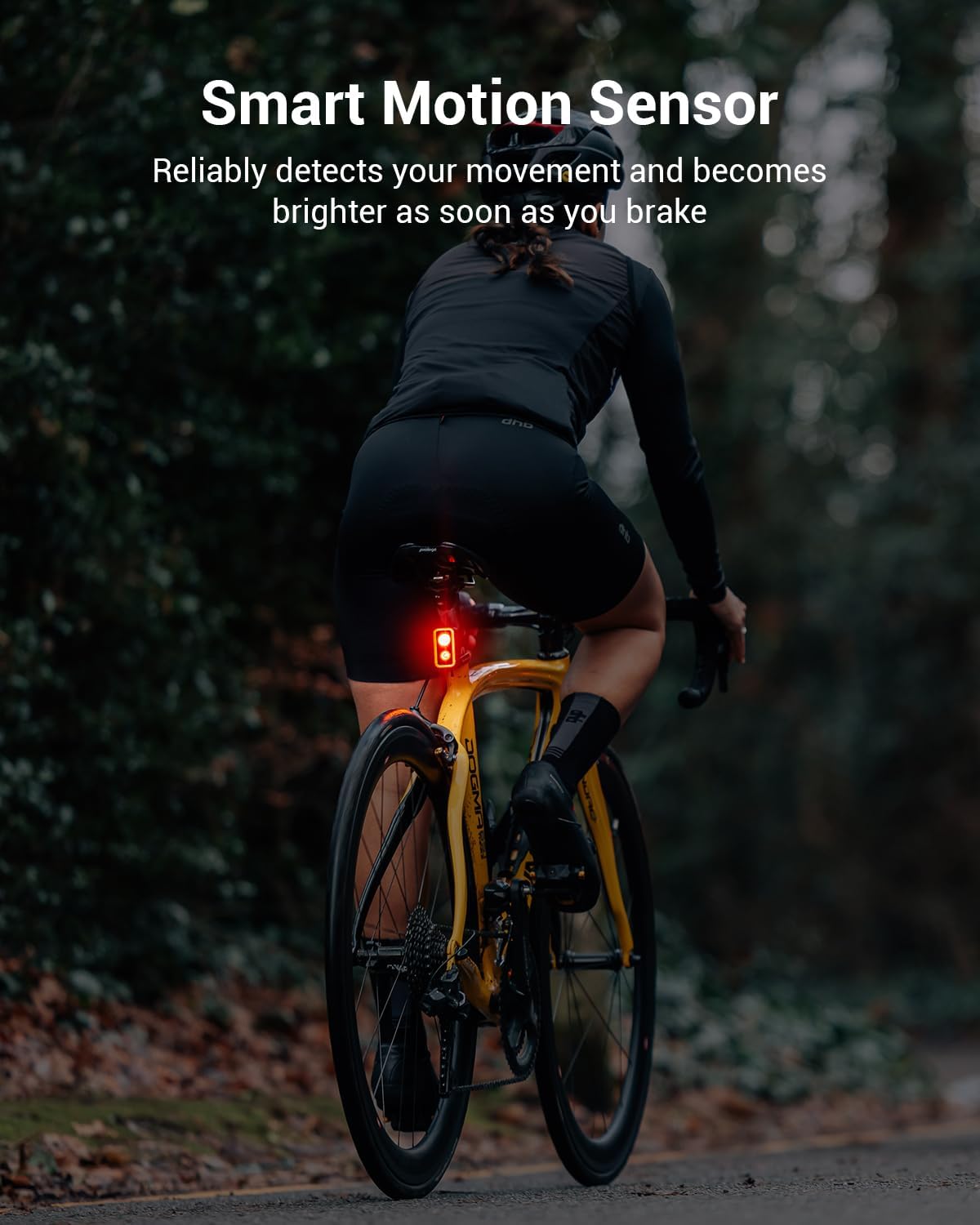 Magicshine SEEMEE 300 Bike Taillight,300 Lumen Bike Tail Light,5 Night & Daytime Modes,Smart Brake Sensor IPX6 Waterproof USB-C Rechargeable Rear Bike Light for Night Riding | Backcountry Sportsman
