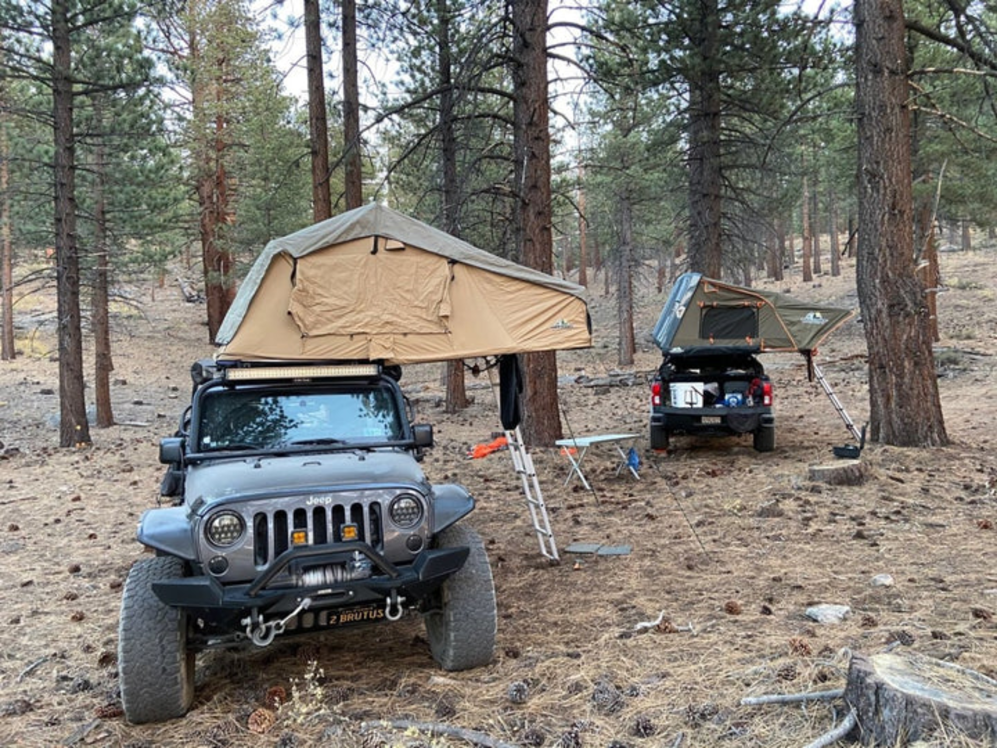 Tuff Stuff Alpha Hard Shell Rooftop Tent - 4 Person | Backcountry Sportsman