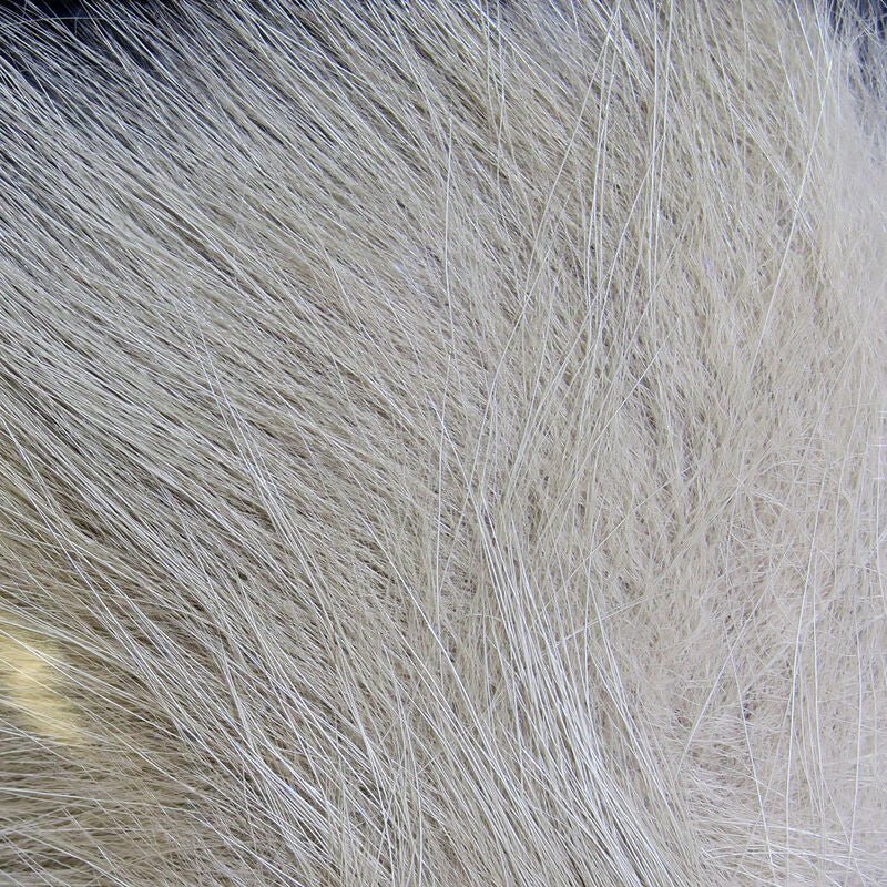 Arctic Fox Hair | Backcountry Sportsman