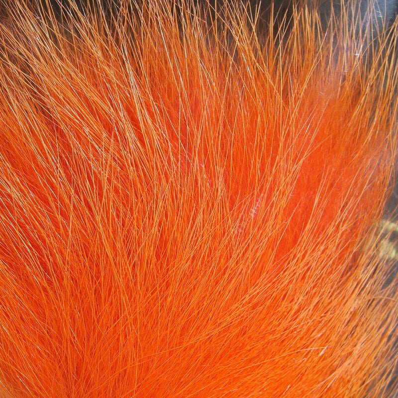 Arctic Fox Hair