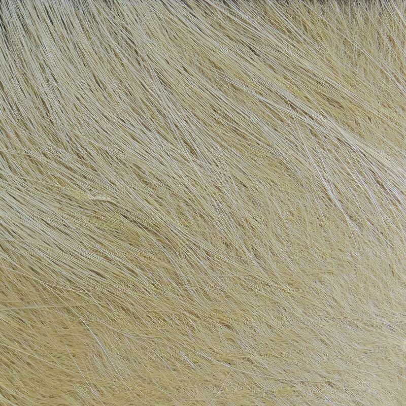 Arctic Fox Tail | Backcountry Sportsman