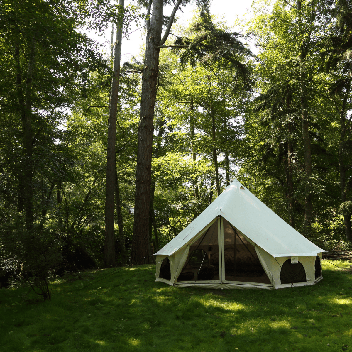 16.5' Avalon Bell Tent | Backcountry Sportsman