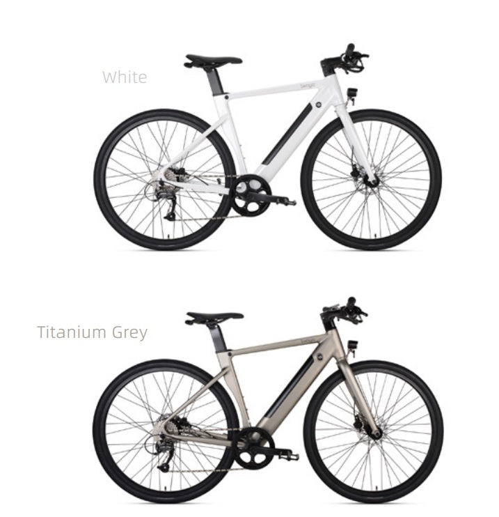 CITI AIR E BIKE | Backcountry Sportsman