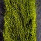 Calf Tail | Backcountry Sportsman