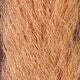 Calf Tail | Backcountry Sportsman