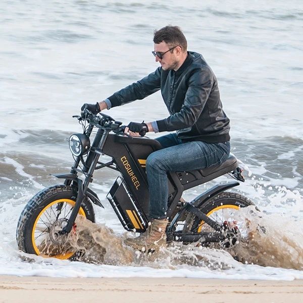 Off-road e-bike Equipped with super motor 1000W 48V25AH lithium battery 20"*4.0 fat tires Specially suitable for touring, sand, snow, mountains and other adventurous places. | Backcountry Sportsman