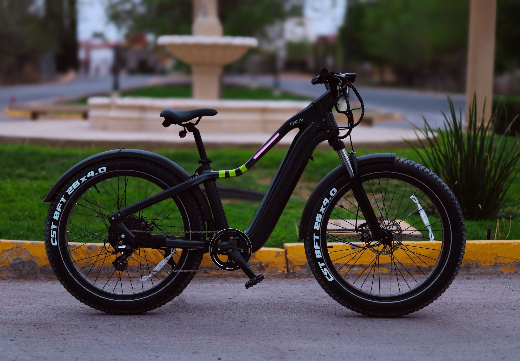 26" Step Over Electric Mountain Bike - Black | Backcountry Sportsman