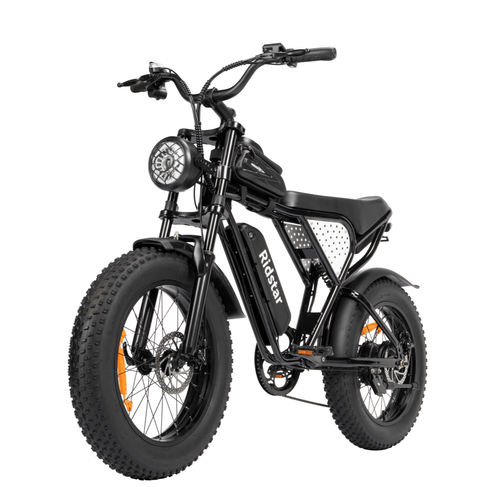 Off-road Electric Bike 1000W 20ah Black | Backcountry Sportsman