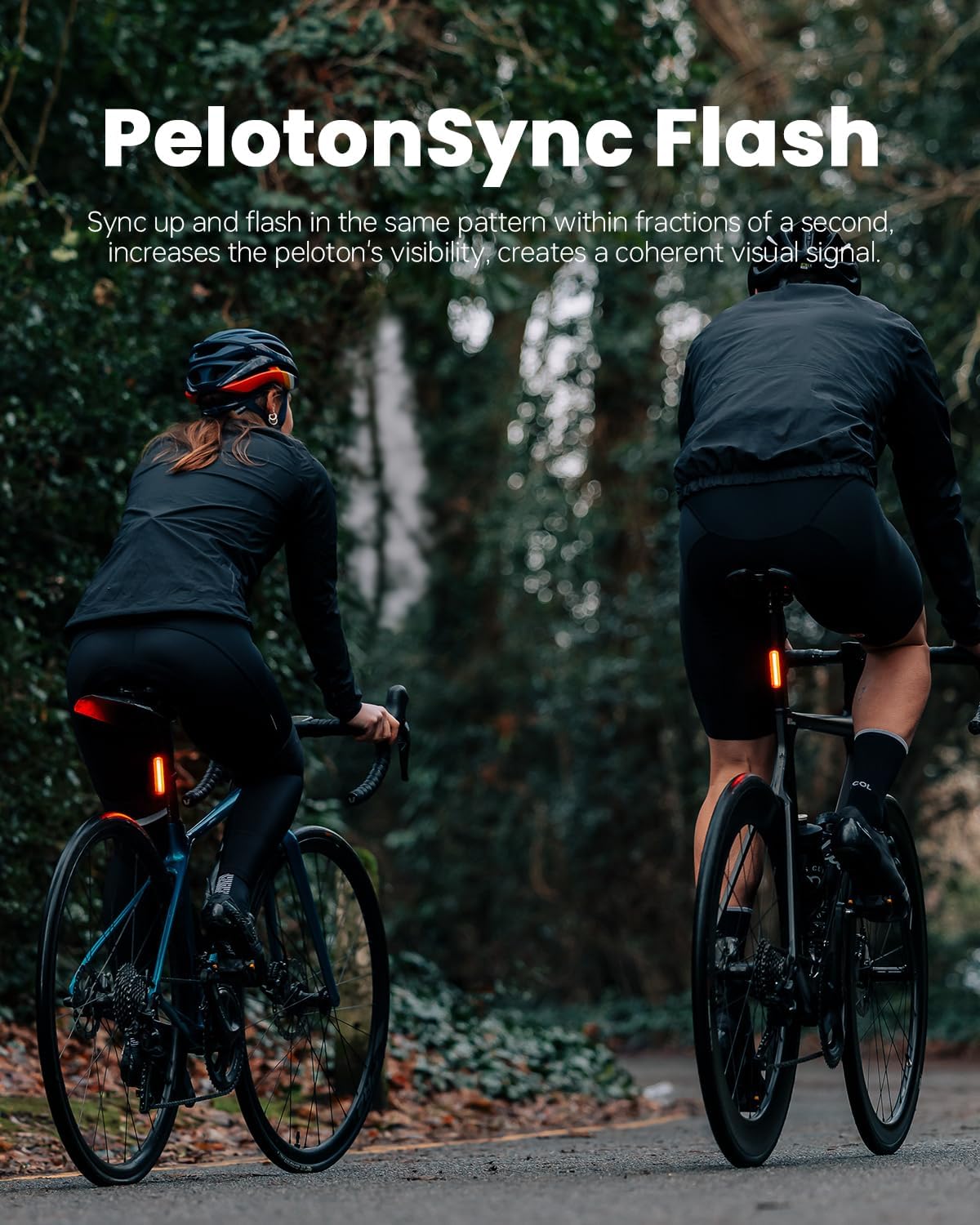 Magicshine Tail Light SEEMEE 50 V2.0, Rear Bike Light with USB C Rechargeable, 50 Lumen IPX6 Waterproof Bicycle Tail Lights for Night Riding, Smart Cycling Safety Bike Taillights | Backcountry Sportsman