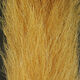 Calf Tail | Backcountry Sportsman