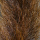 Calf Tail | Backcountry Sportsman